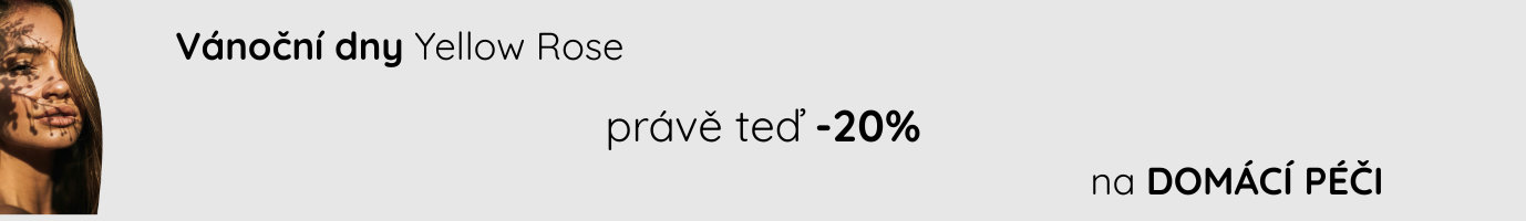 Vánoční dny Yellow Rose (1378 x 200 px)